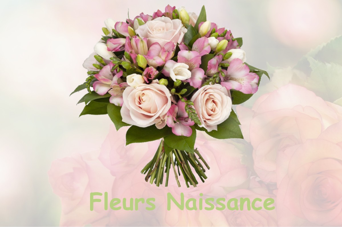 fleurs naissance MONTROUGE