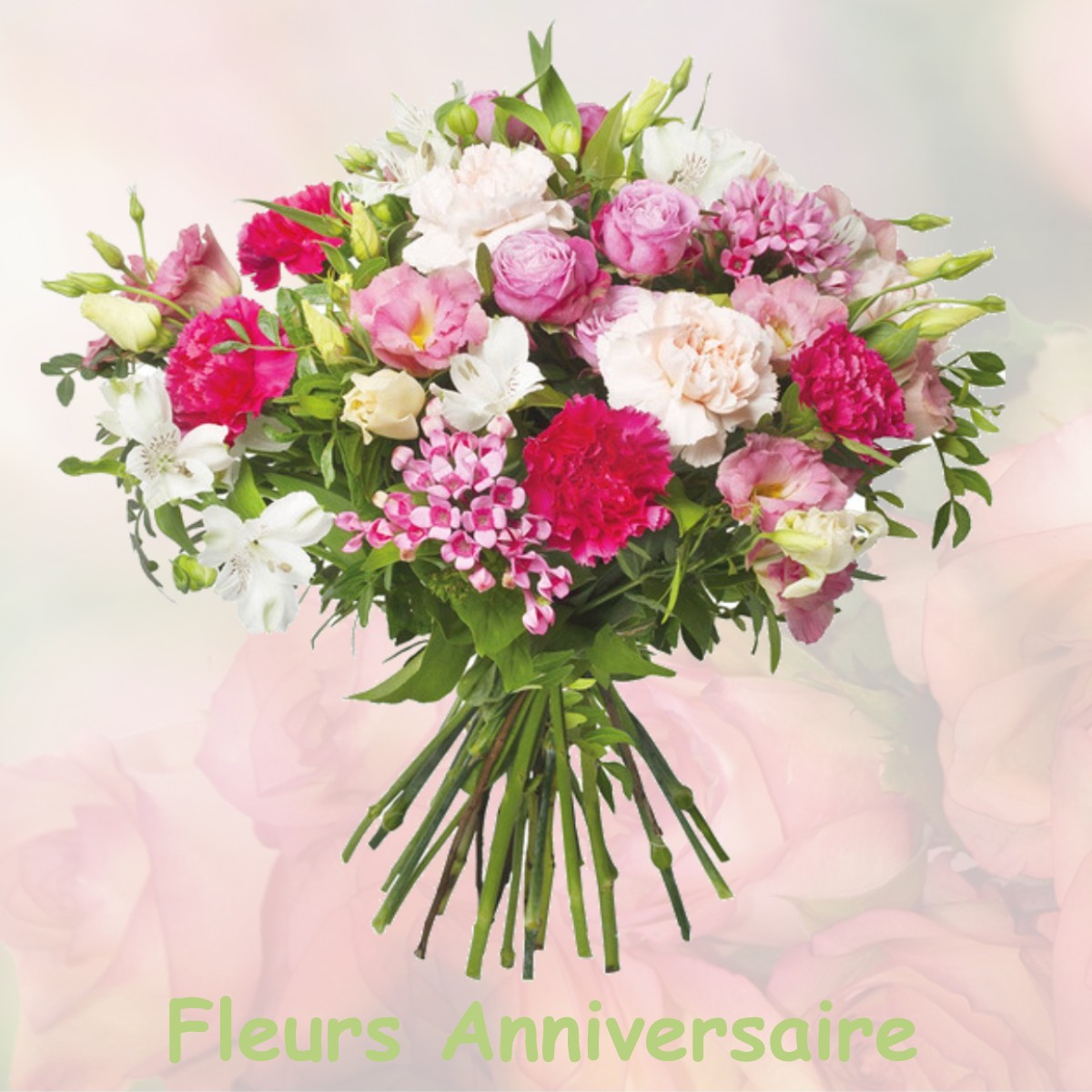 fleurs anniversaire MONTROUGE