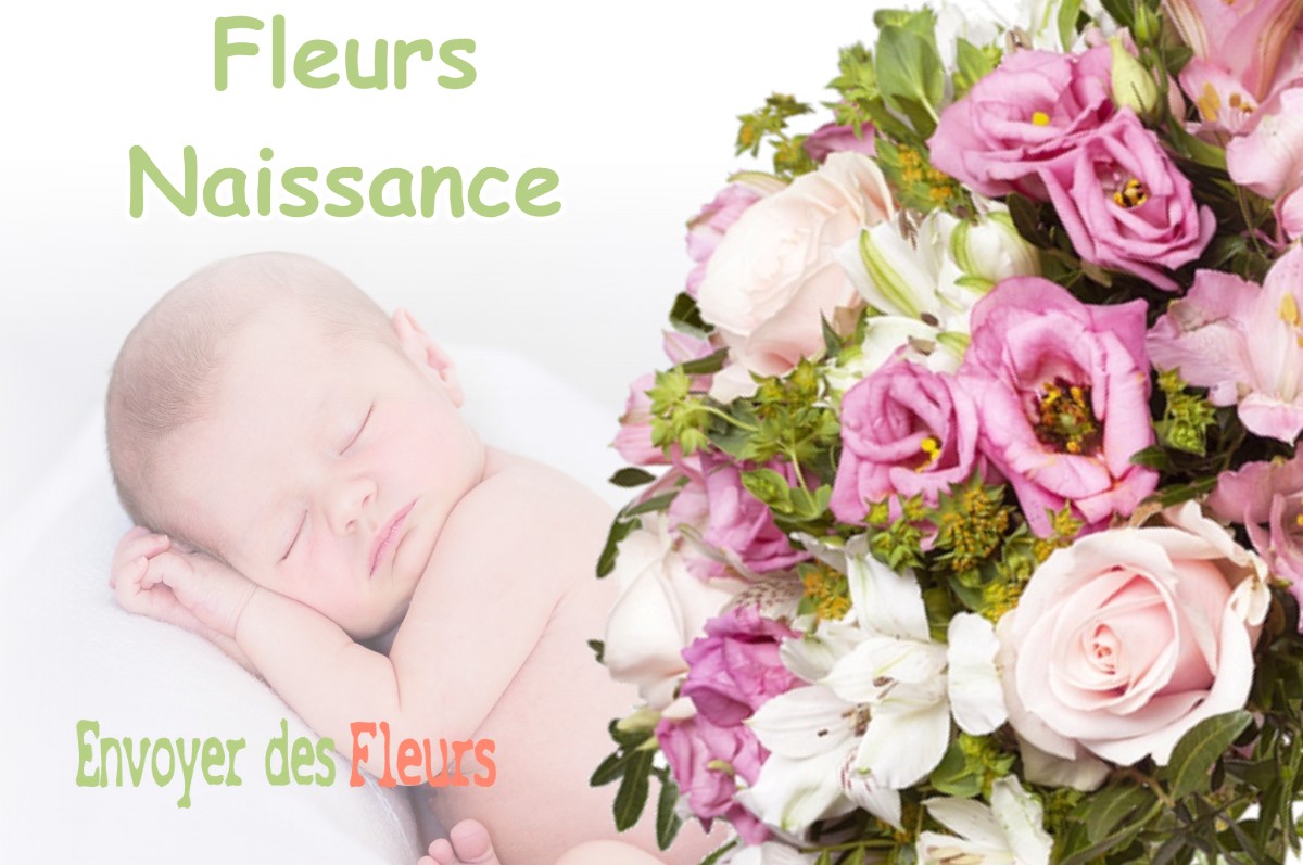 lIVRAISON FLEURS NAISSANCE à MONTROUGE